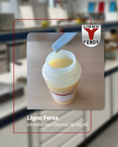 LignoFerox-post-Introductie-1080x1350px